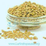 Fenogreco o Alholva - Aumenta tu Testosterona