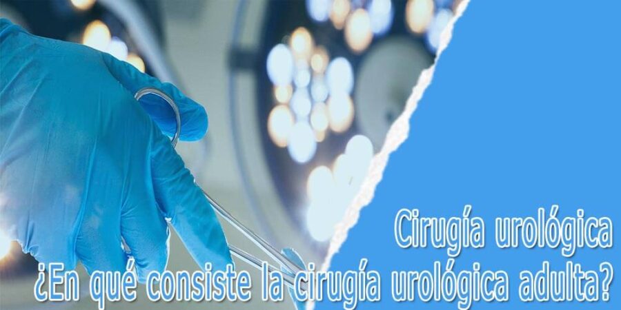 Cirugía urológica adulta