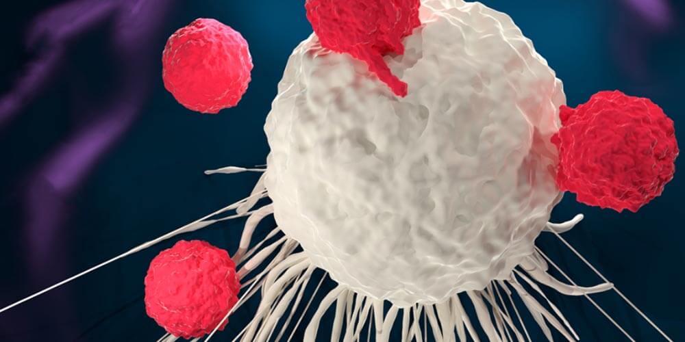 Cómo funciona la inmunoterapia