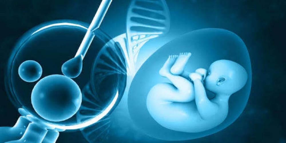 Cuándo se necesita hacer la fecundación in vitro