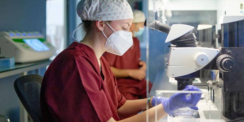 Diferencia entre fecundación in vitro y la inseminación artificial