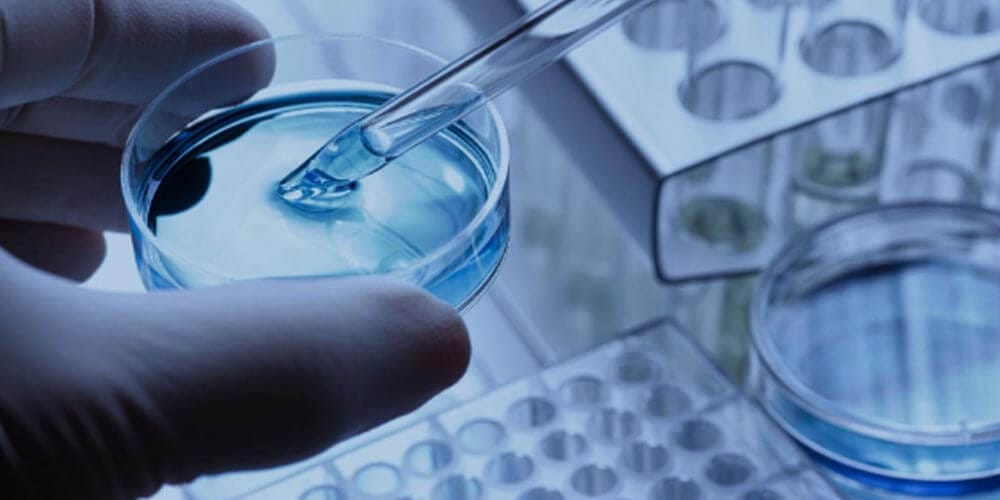 En qué consiste la fecundación in vitro