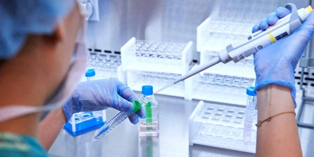 Preguntas relacionadas sobre la fecundación in vitro