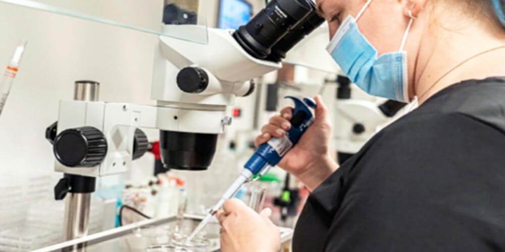 Resultados y probabilidades de éxito