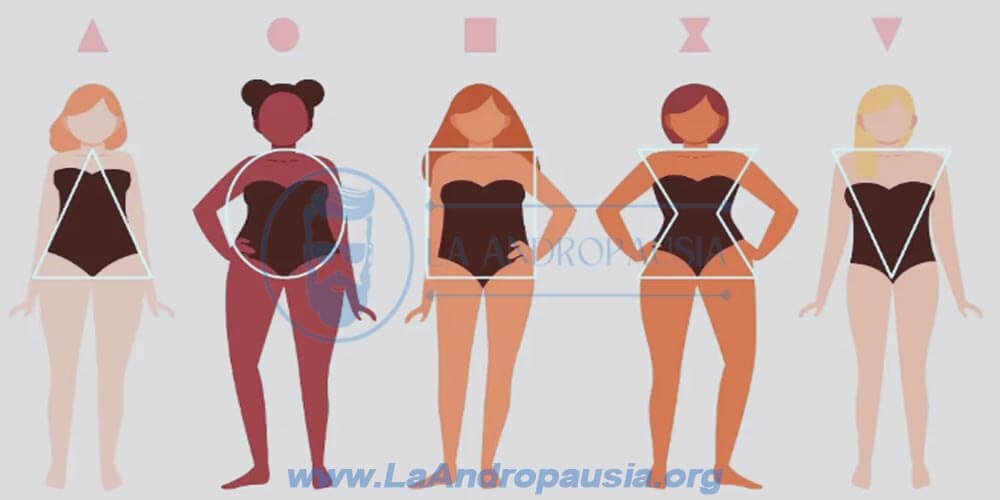 Tipos de figuras corporales femeninas
